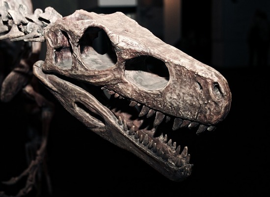 Впервые ученые с точностью выявили рак у динозавра
